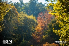 DAD-Autumn-Drive-Day-Berwick-Ford-2024-113