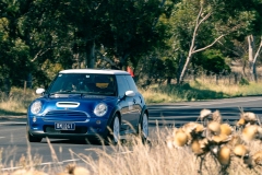 DAD-Cruise-429-Enhanced-NR