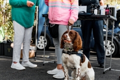 DAD-2025-Adelaide-Autumn-Drive-Day-9940